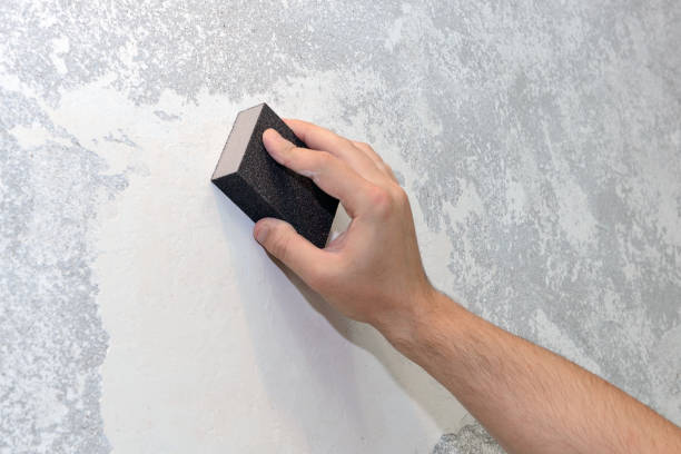 Best Commercial Mold Inspection  in Bowie, TX
