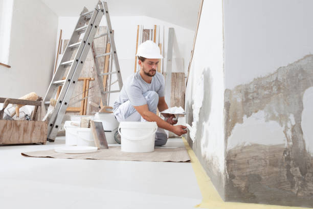 Best Dehumidification Services  in Bowie, TX