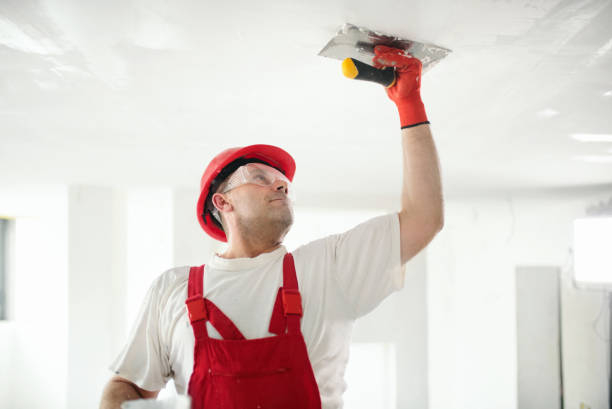 Best Comprehensive Air Testing for Mold Contaminants  in Bowie, TX