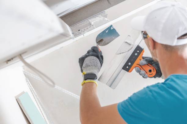 Reliable Bowie, TX Mold Removal Solutions